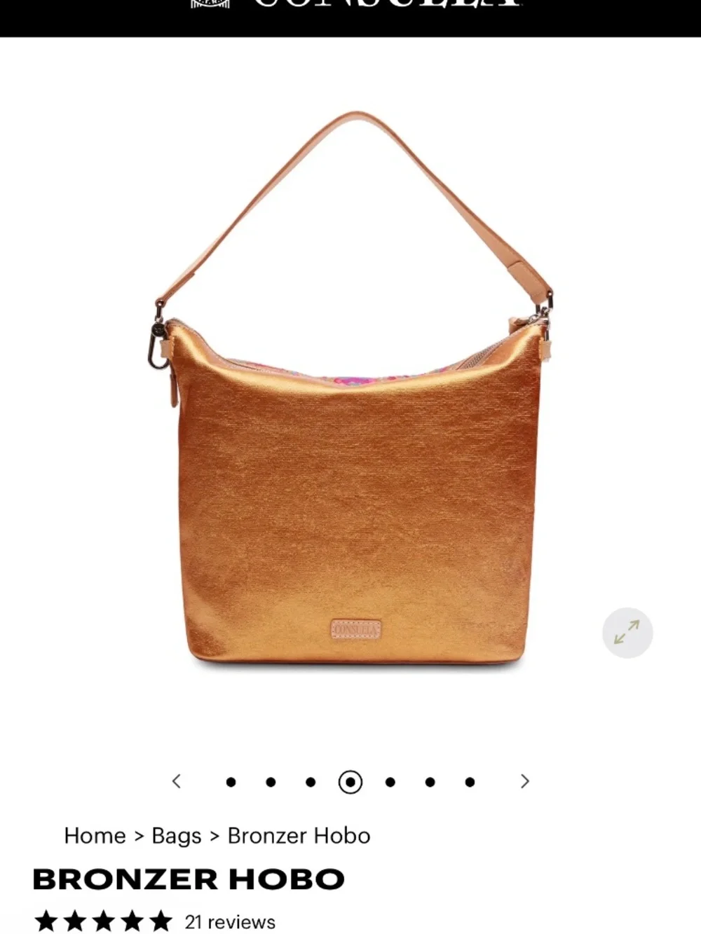 BRANDA NEW Consuela Bronzer Hobo Bag